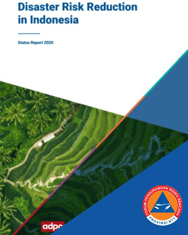 Disaster Risk Reduction in Indonesia