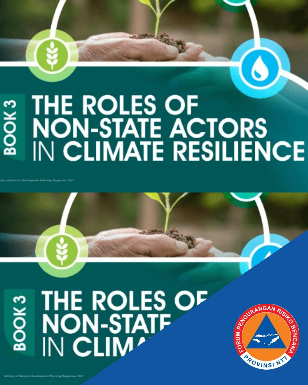 The Roles Of Non-State Actors In Climate Resilience