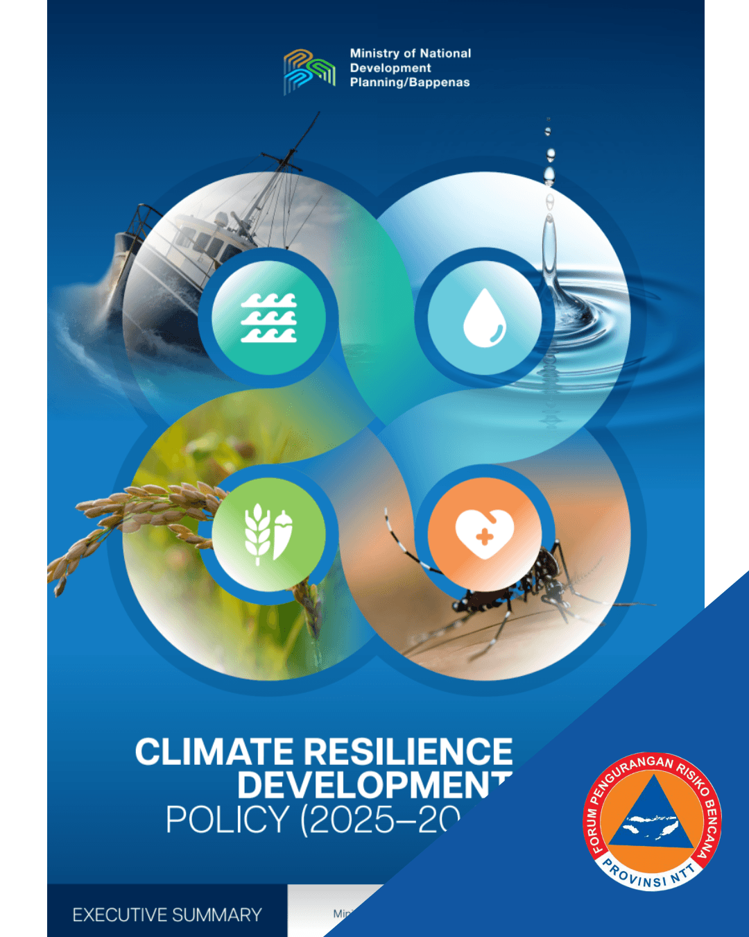 Executive Summary: Climate Resilience Development 2.0