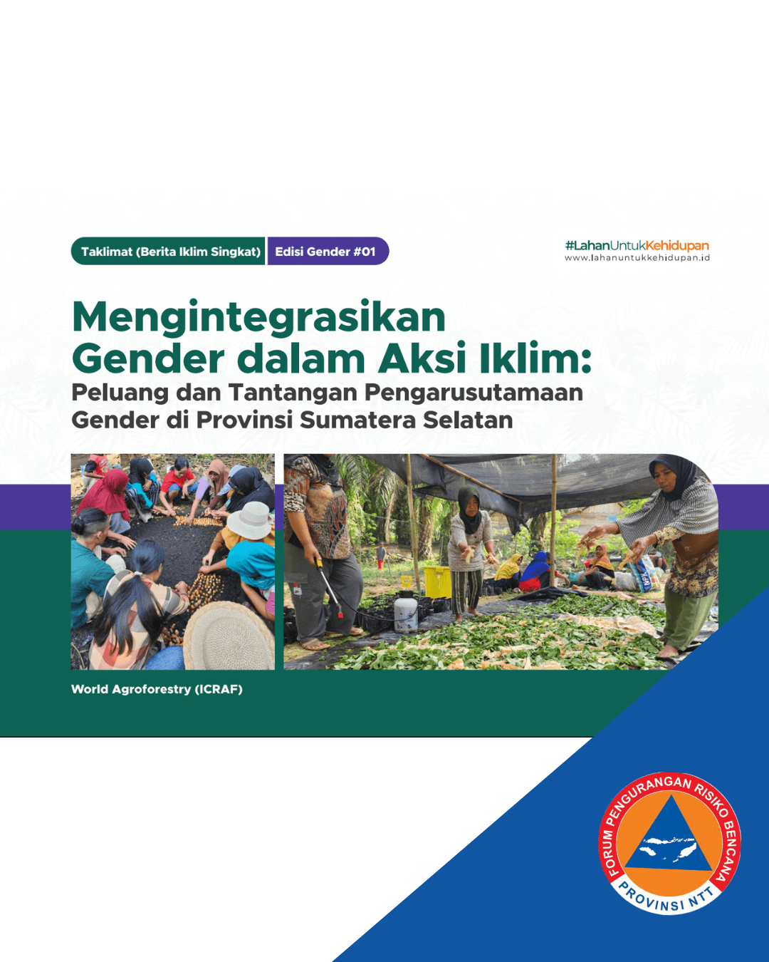 Mengintegrasikan Gender dalam Aksi Iklim: Peluang dan Tantangan Pengarusutamaan Gender di Provinsi Sumatera Selatan