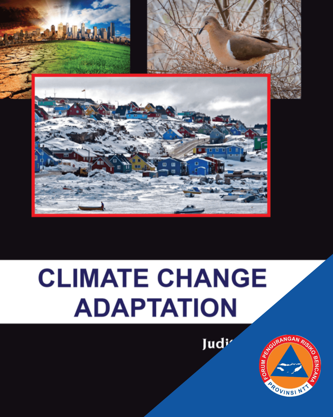 Climate Change Adaptation